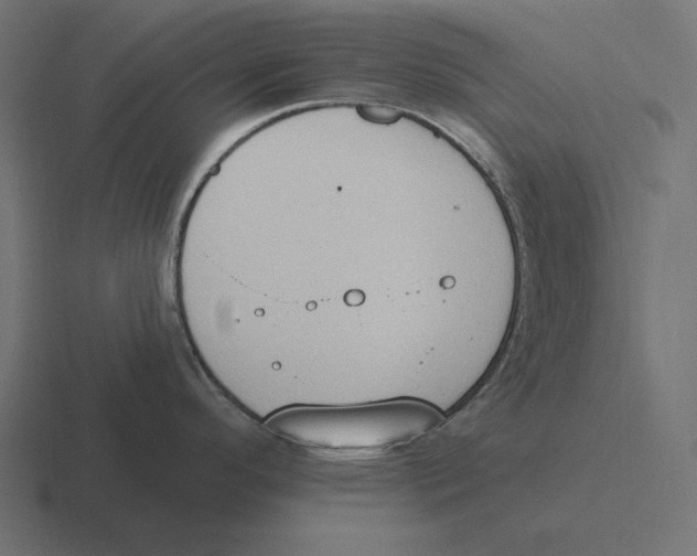 X0000116511296200912292137