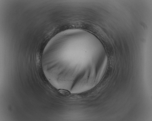 X0000116511298200912292136