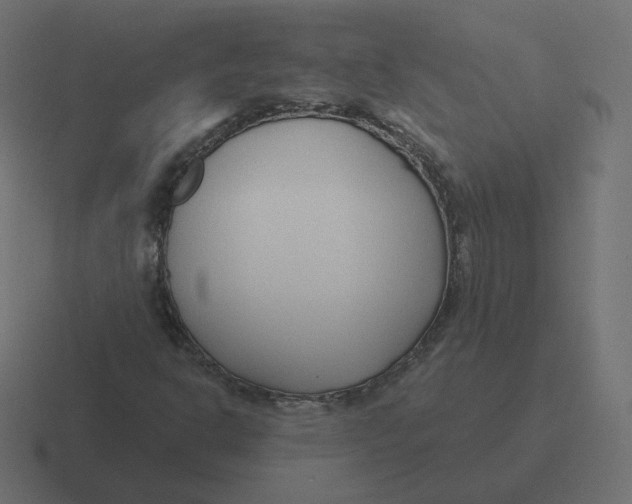 X0000116511302200912292136