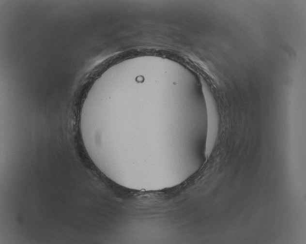 X0000116511303200912292136