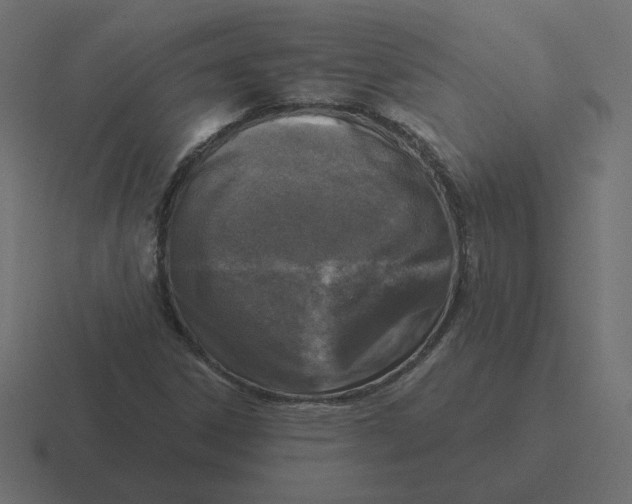 X0000116511306200912292136