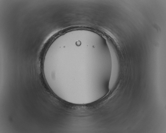 X0000116511310200912292136