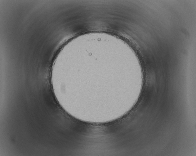 X0000116511314200912292136