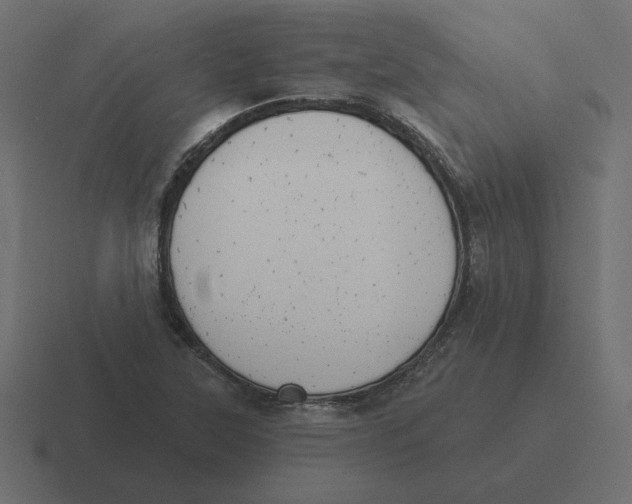 X0000116511315200912292136