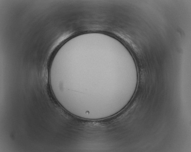 X0000116511317200912292136