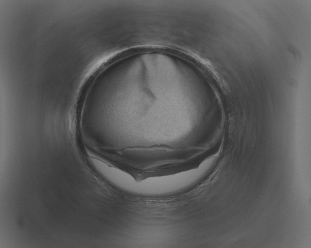 X0000116511319200912292136