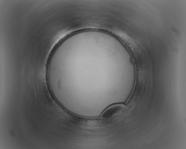 X0000116511326200912292137