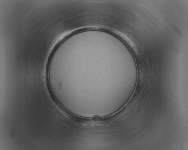 X0000116511327200912292137