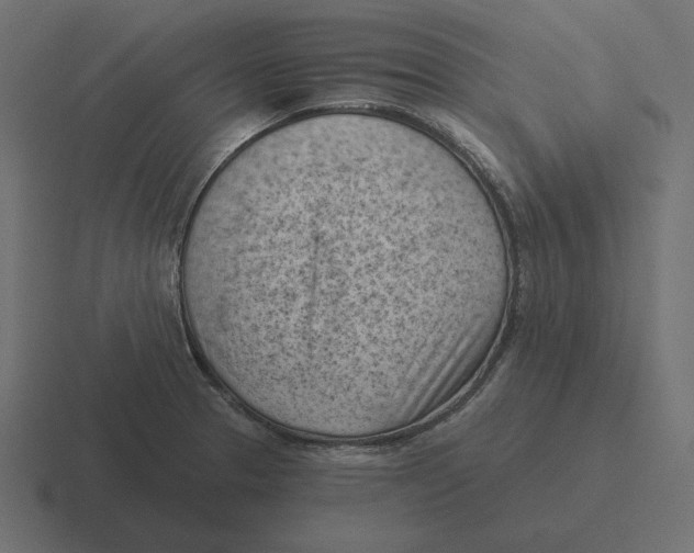 X0000116511329200912292137