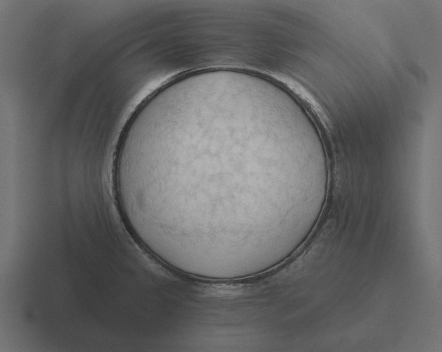 X0000116511333200912292137