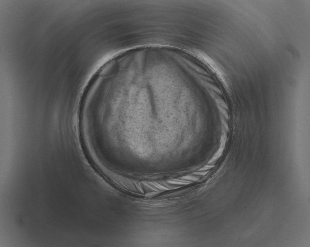 X0000116511334200912292137