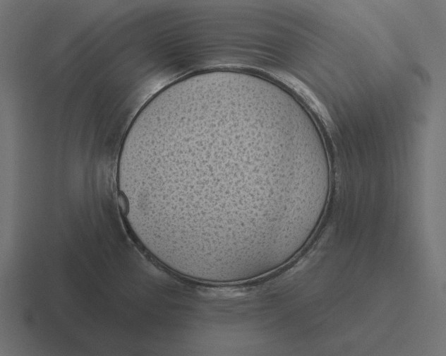 X0000116511337200912292137