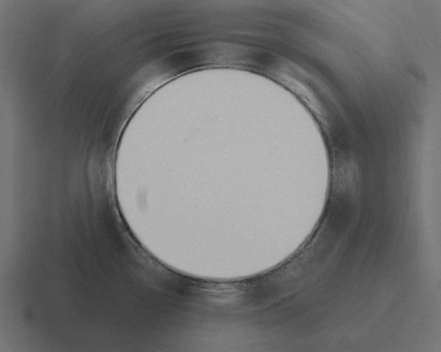 X0000116511338200912292137