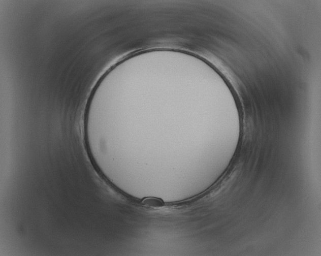 X0000116511341200912292137