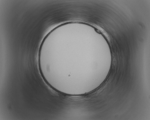 X0000116511343200912292137