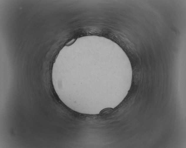 X0000116511345200912292136