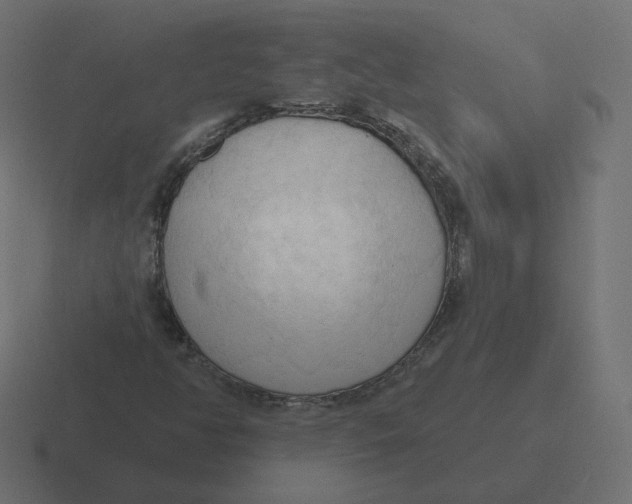 X0000116511350200912292136