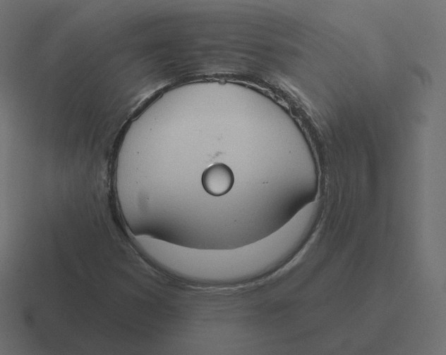 X0000116511353200912292136