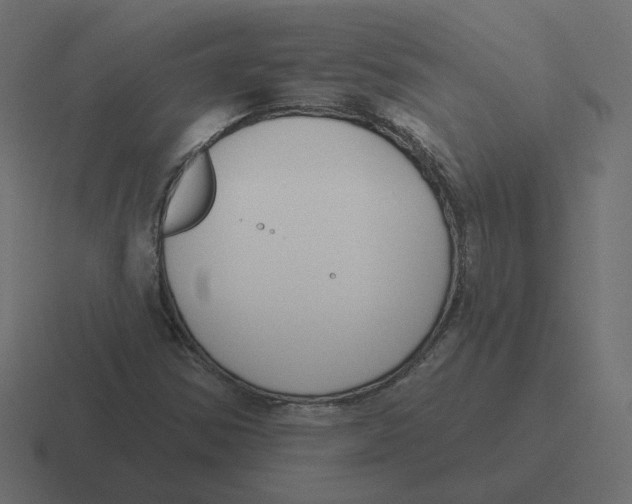 X0000116511354200912292136