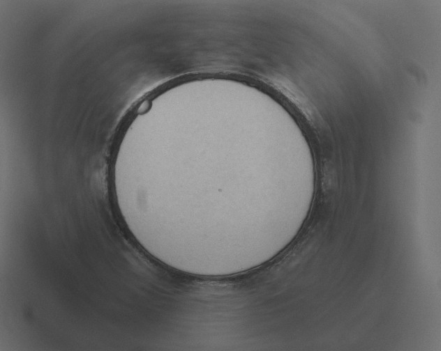 X0000116511356200912292136