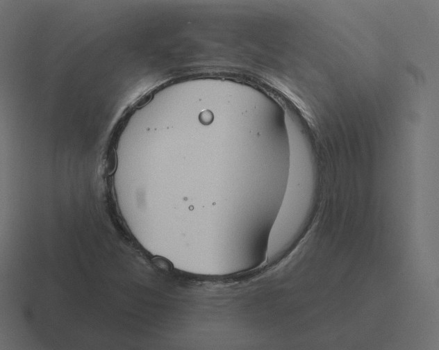 X0000116511357200912292136