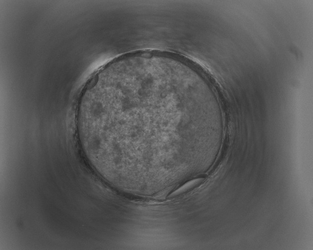 X0000116511359200912292136