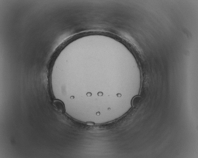 X0000116511360200912292136