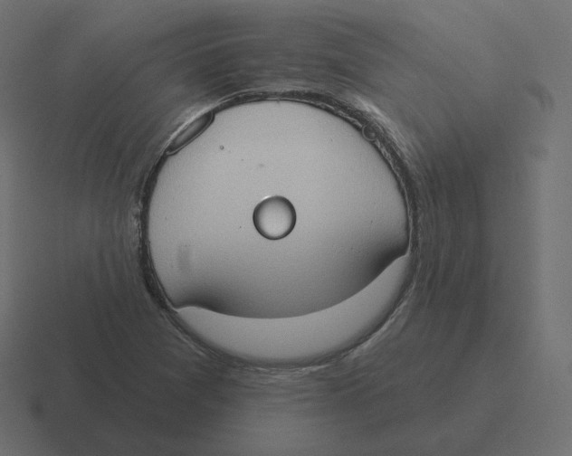 X0000116511361200912292136