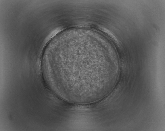 X0000116511362200912292136