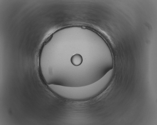 X0000116511365200912292136