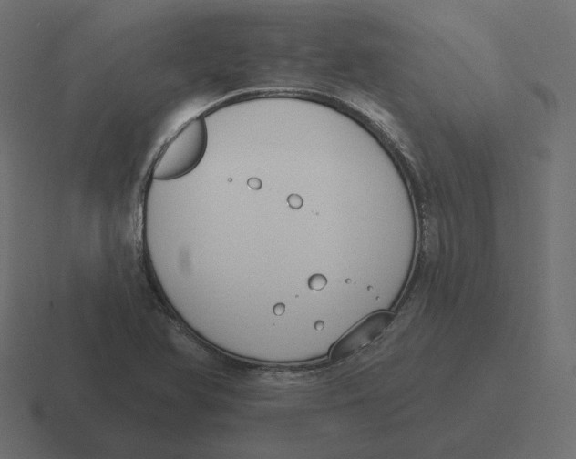 X0000116511366200912292136