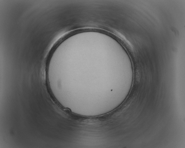 X0000116511368200912292136