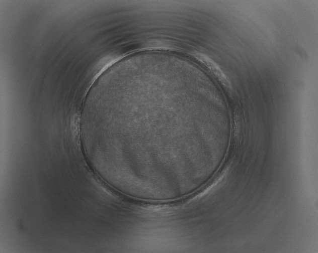 X0000116511369200912292136