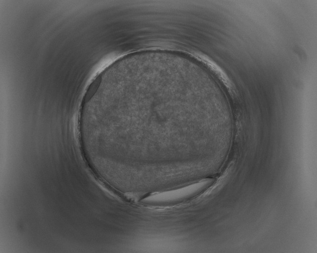 X0000116511373200912292136