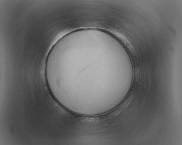 X0000116511374200912292136