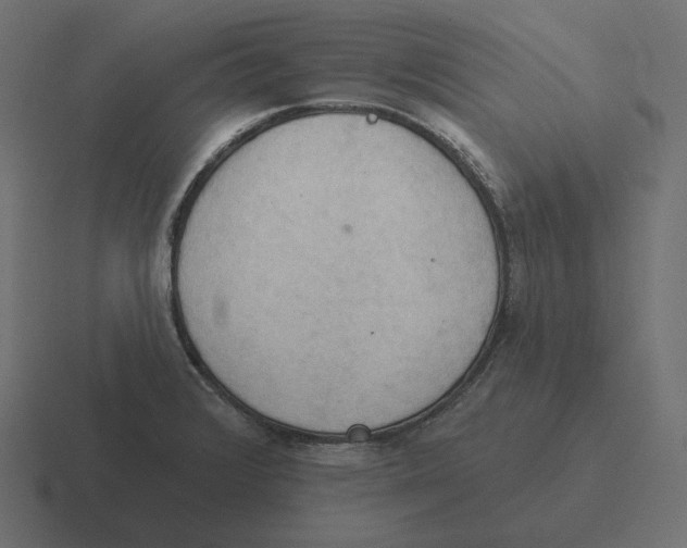 X0000116511376200912292136