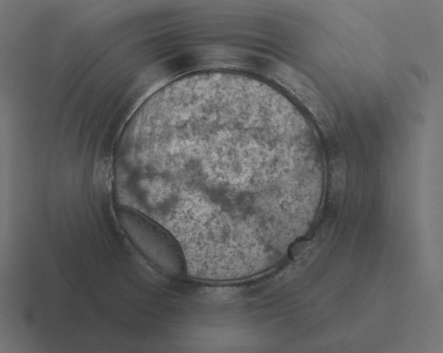 X0000116511377200912292136