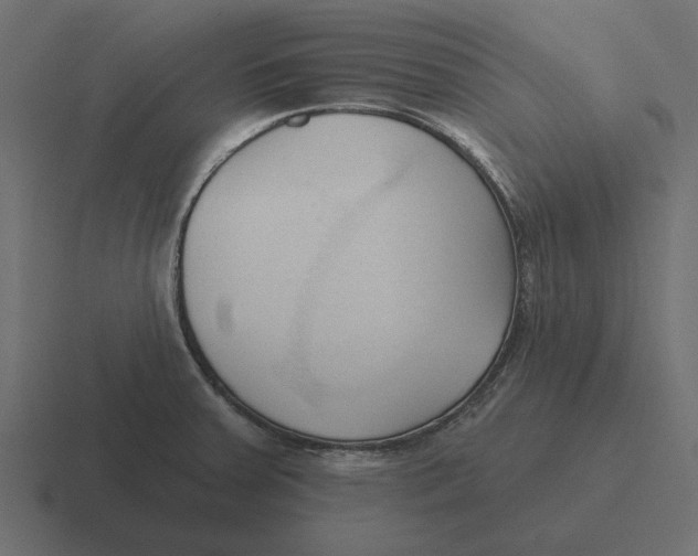 X0000116511379200912292136