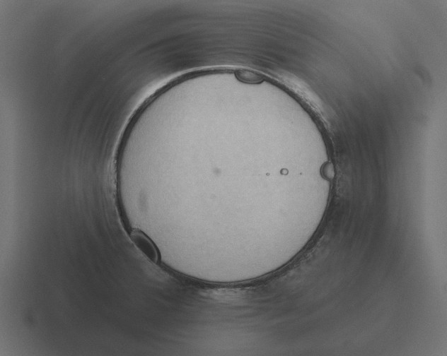 X0000116511380200912292136