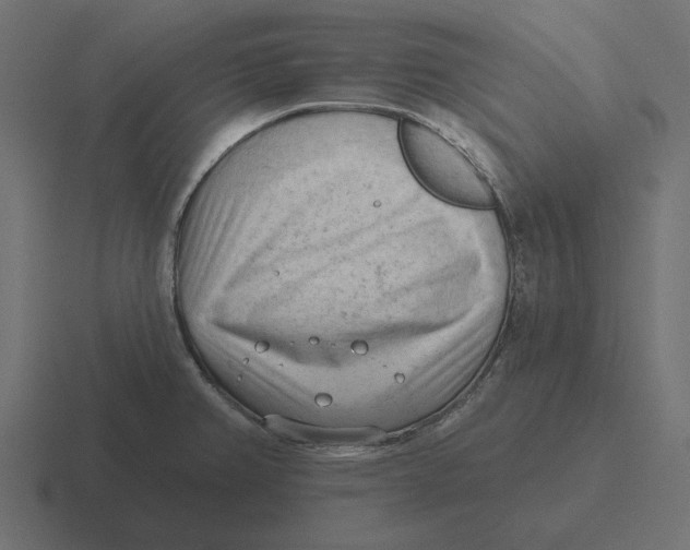 X0000116511382200912292136