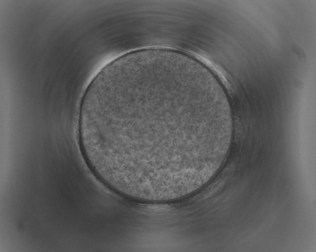 X0000116511383200912292136