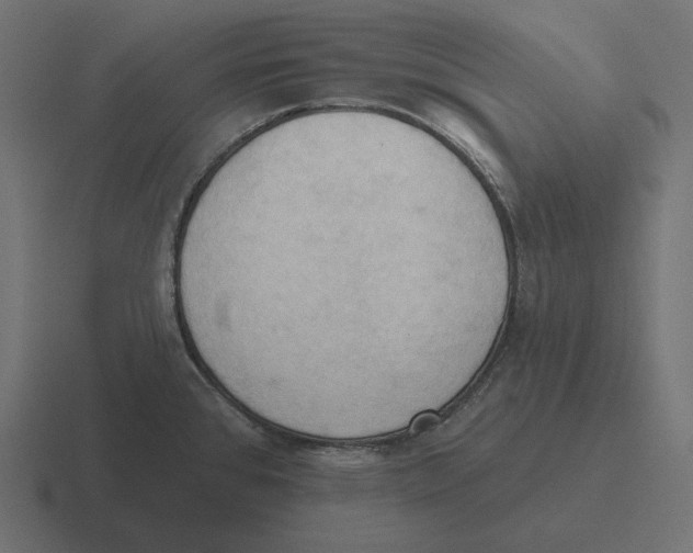 X0000116511384200912292136