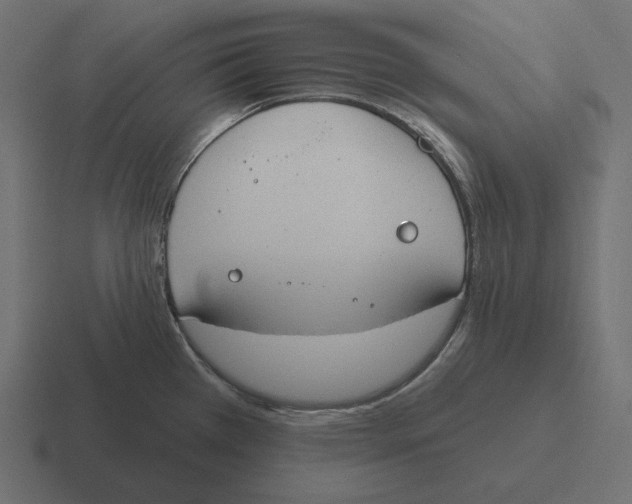 X0000116511385200912292136