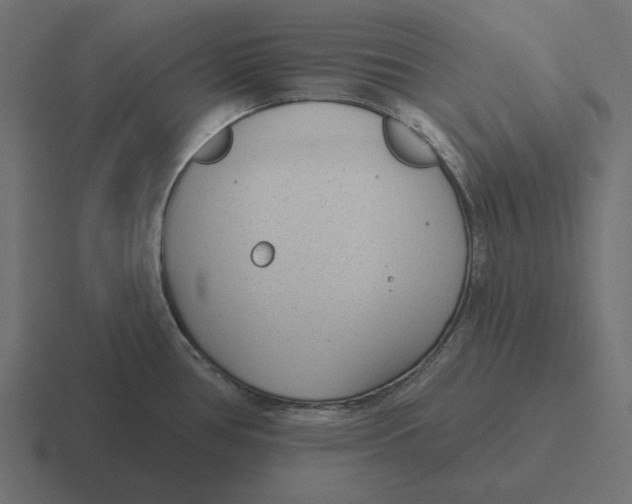 X0000116511386200912292136