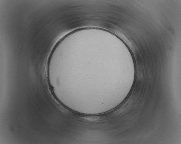 X0000116511388200912292136