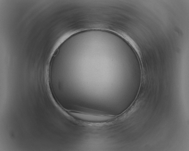 X0000116511389200912292136