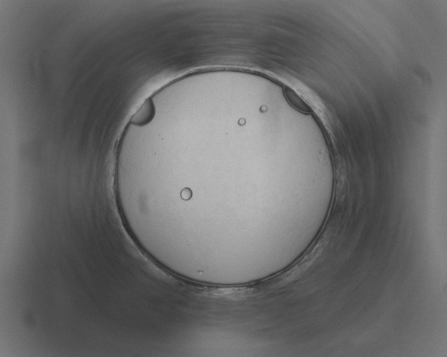 X0000116511390200912292136