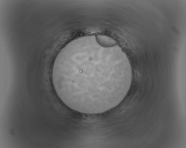 X0000116511393200912292135