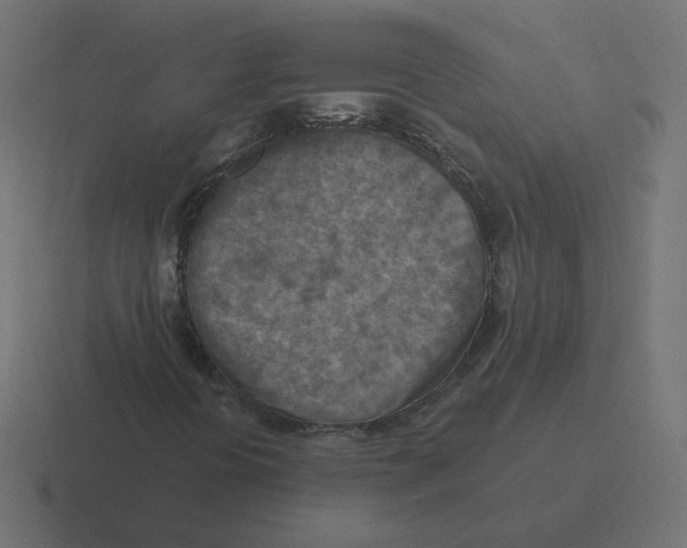 X0000116511394200912292135