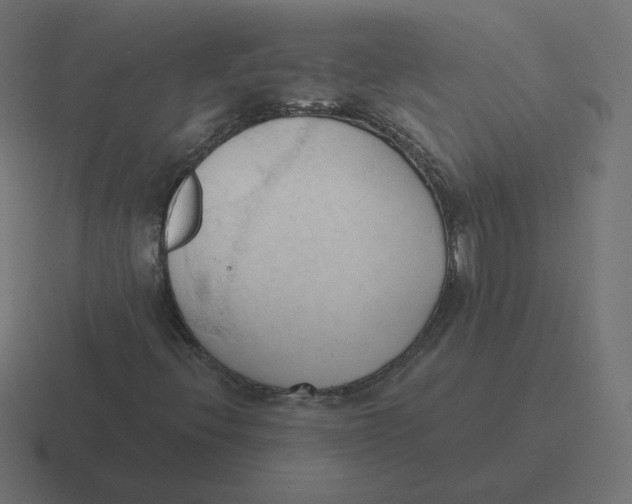 X0000116511396200912292135